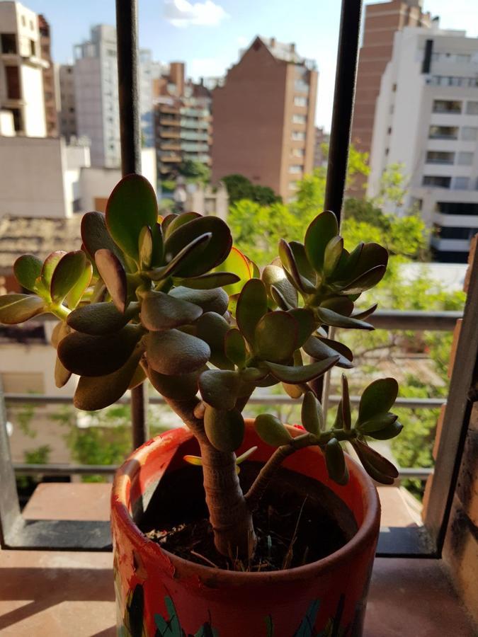 Apartamento Carlucci Córdoba Zewnętrze zdjęcie